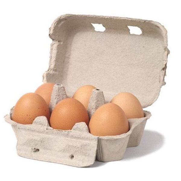 6-hole Egg Carton