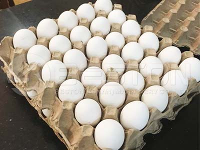 Egg Tray From Philippine Customer