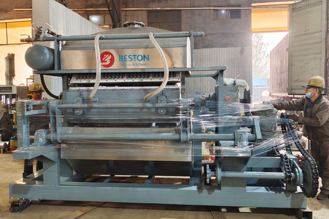 A Philippines Customer Got Equipment from Egg Tray Making Machine Manufacturer - Beston