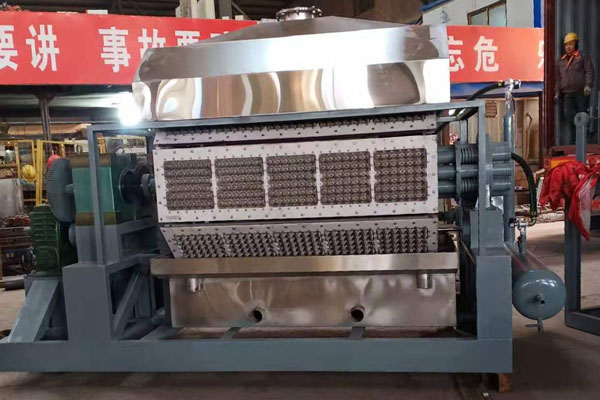 Beston Automatic Egg Tray Making Machine Shipped to India