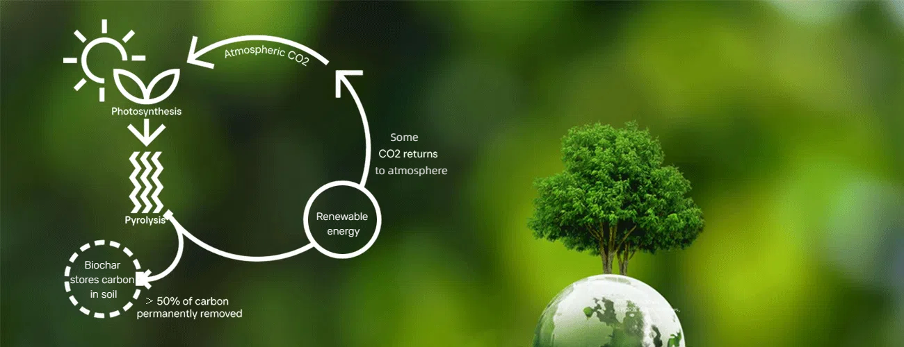 Carbon Cycle in Biomass Pyrolysis